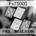 Fx75000 33